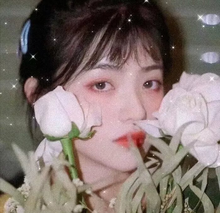 我的同学是美人鱼